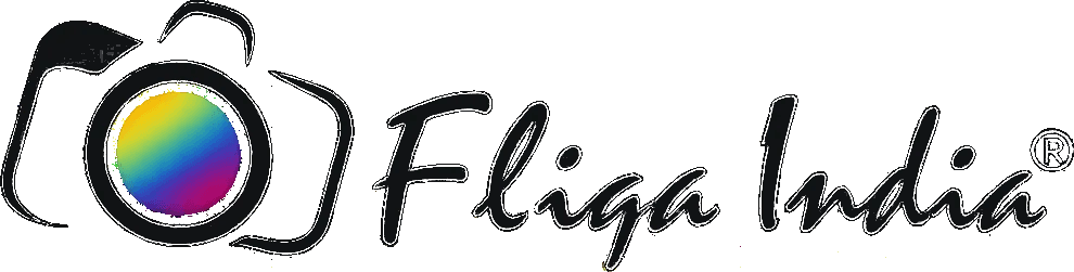 FliqaIndia Private Limited — Official Trademark Logo